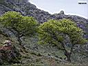 Nisyros_Weg von Mandraki nach Emborio02.JPG